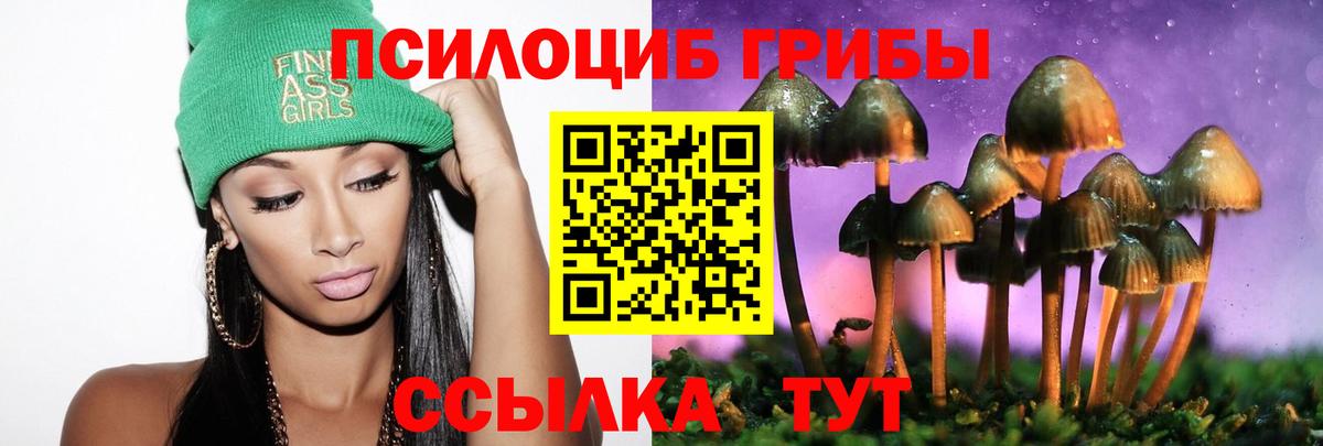 купить наркоту  Галлюциногенные грибы ЛСД  Вход с VPN  Братск 
